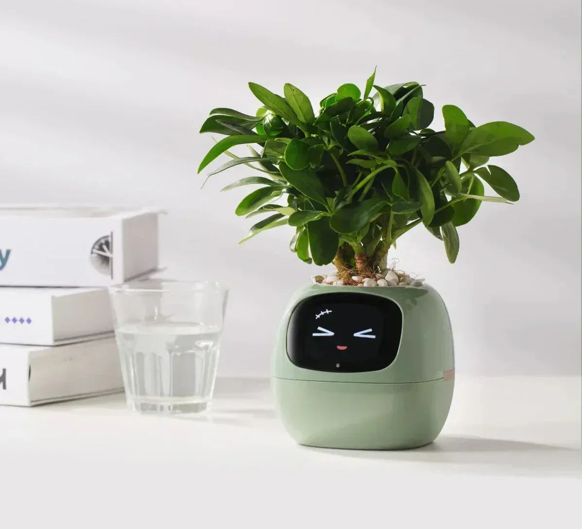 Smart AI Plant Pot Planter